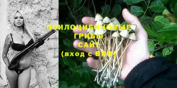 трава Приозерск