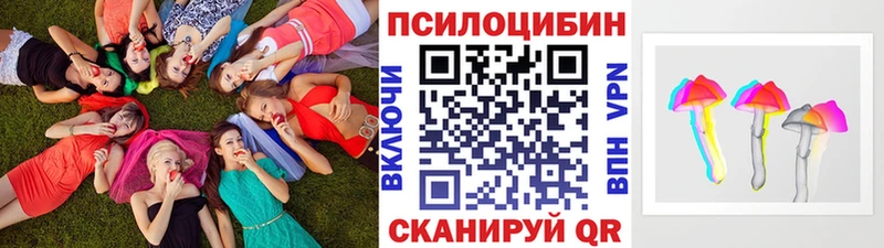 купить наркоту Тайга Галлюциногенные грибы прущие грибы